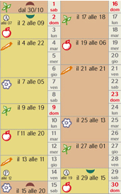novembre nell'orto